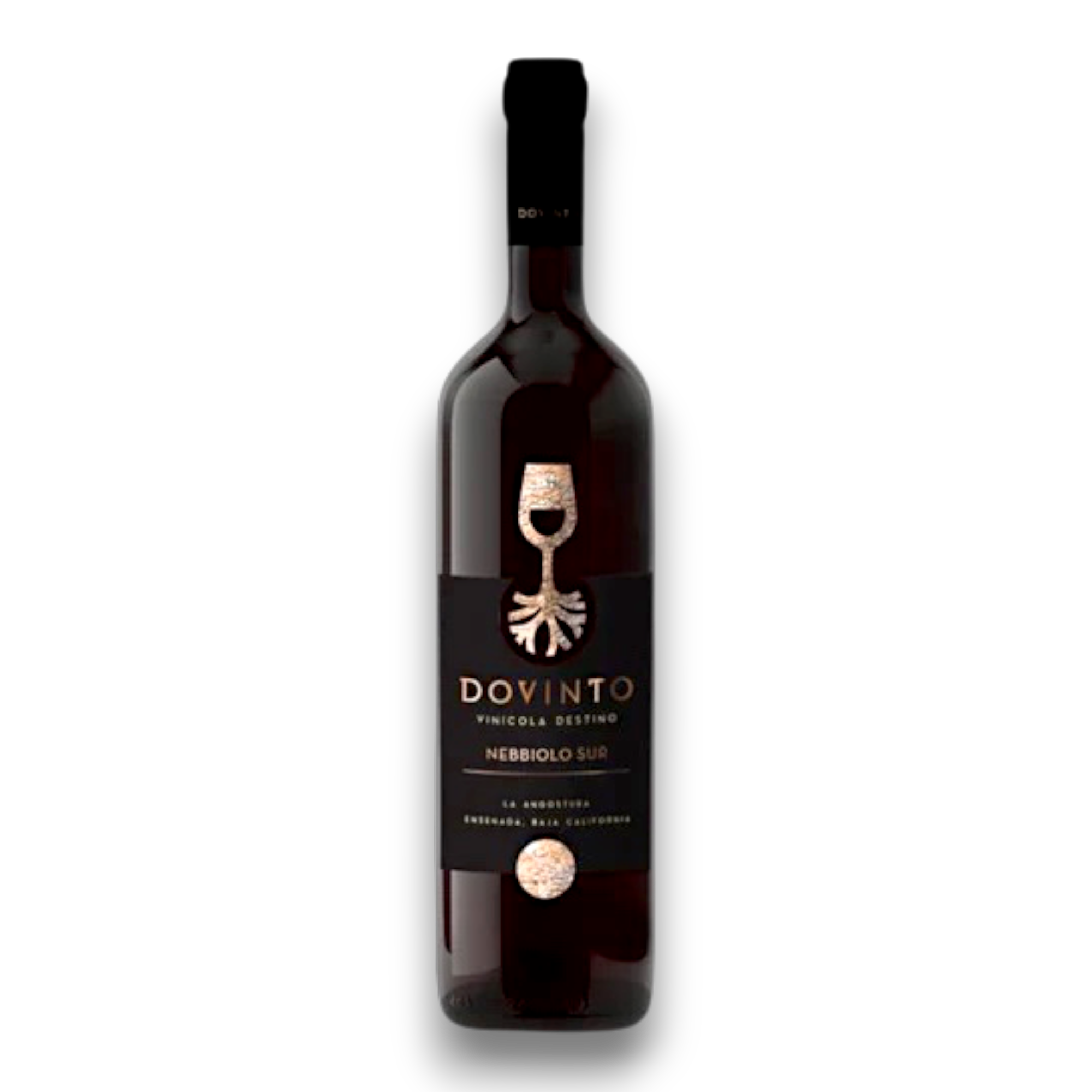 Botella de Dovinto Nebbiolo, vino tinto