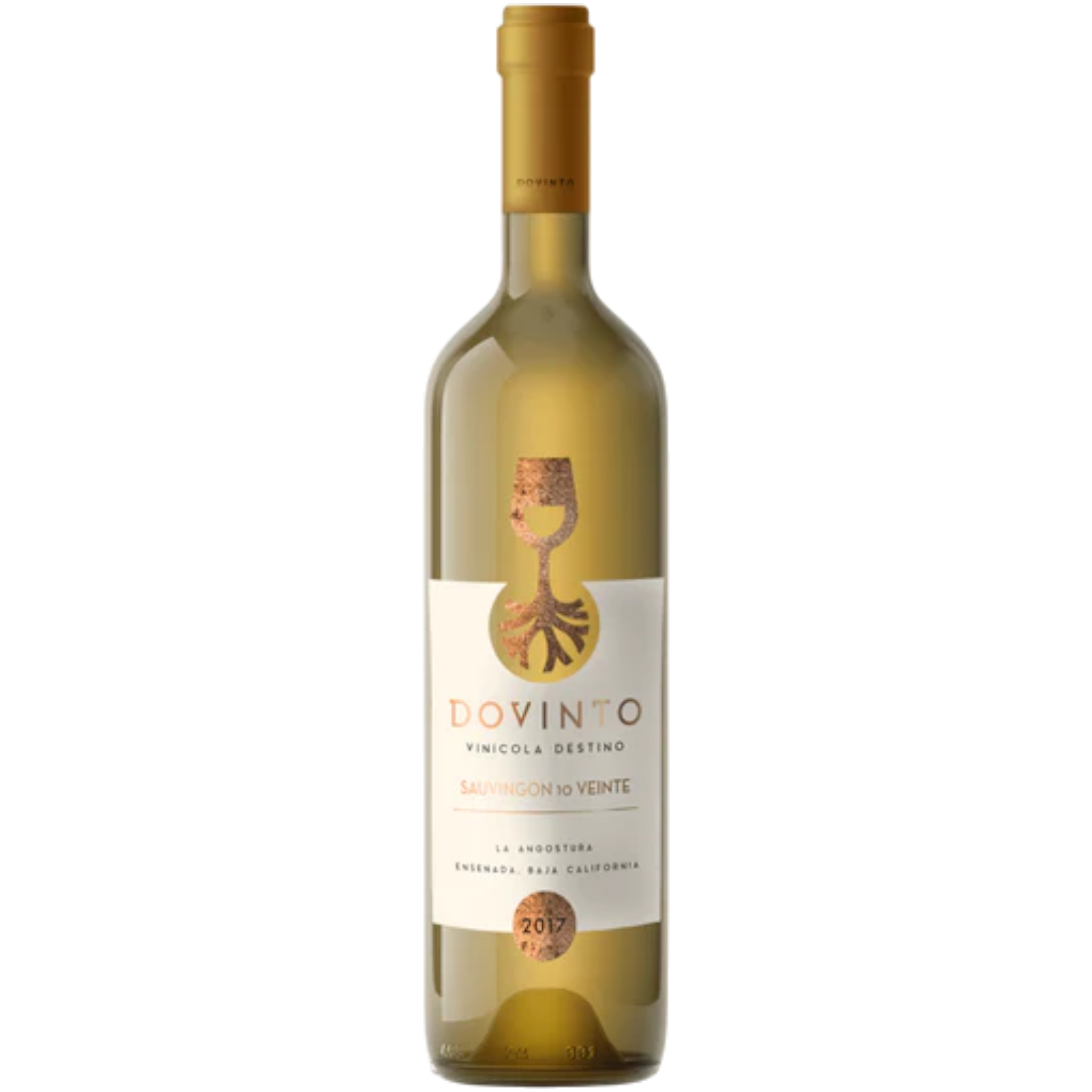 Botella de Dovinto Viognier, vino blanco de Viognier de Valle de Guadalupe, México