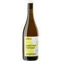 Botella de Assyrtiko Amphora, vino blanco de Assyrtiko de Grecia