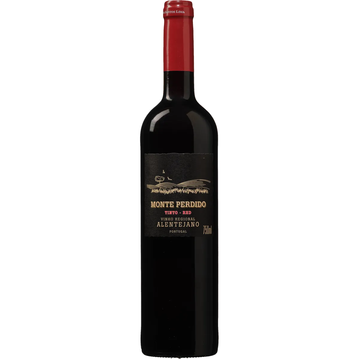 Botella de Monte Perdido, vino tinto de España
