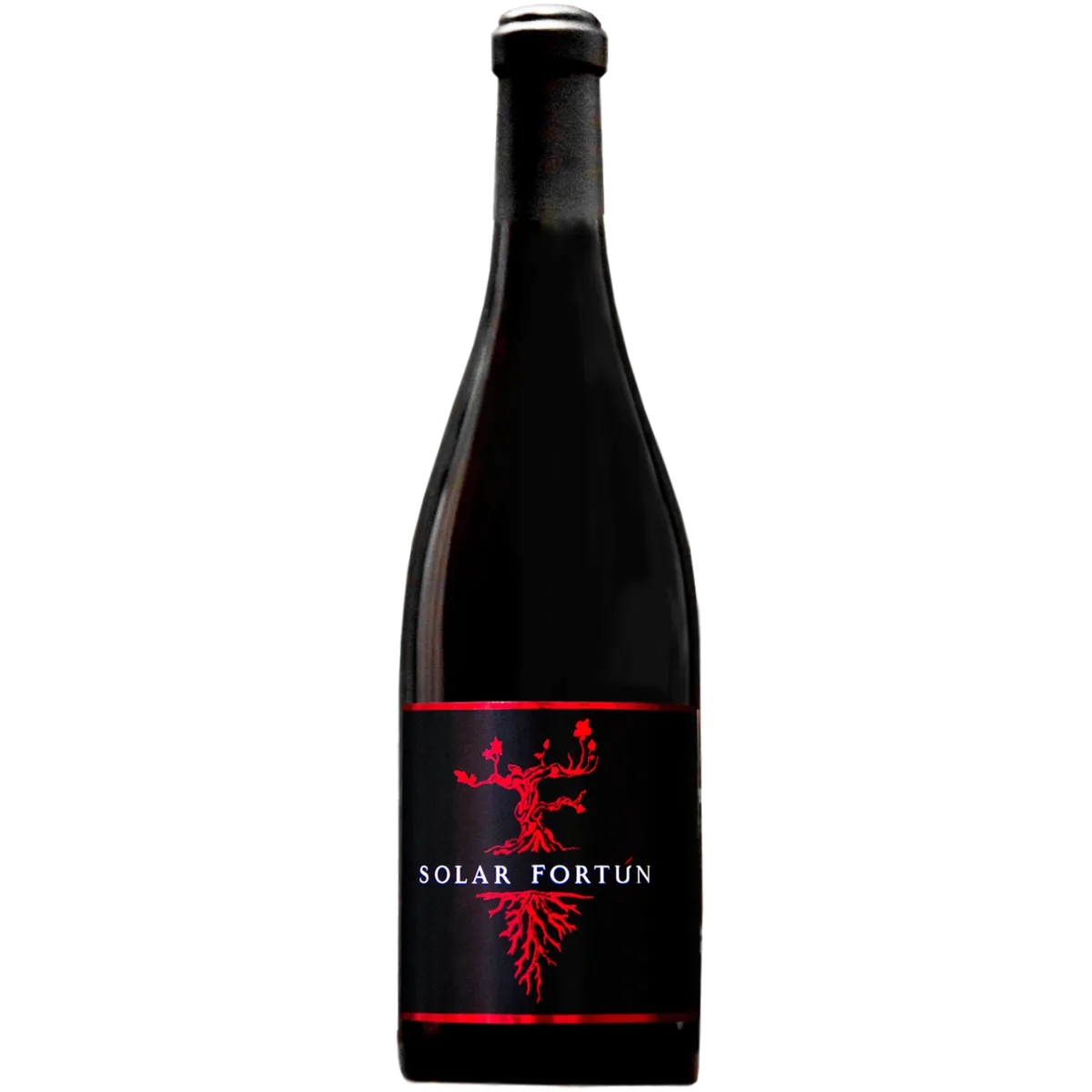 Botella de Solar Fortún Noble Cru, vino tinto de España