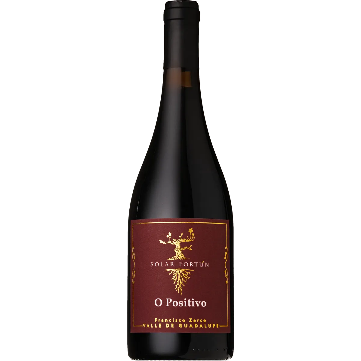 Botella de Solar Fortún O Positivo, vino tinto de España