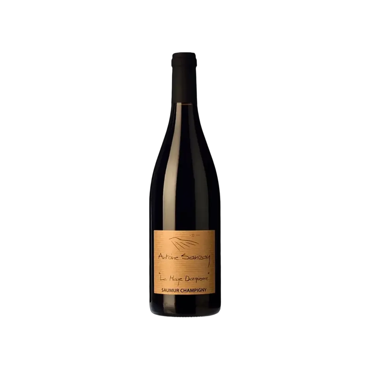 Botella de Antoine Sanzay La Haye Dampierre, vino tinto de Cabernet Franc de Francia