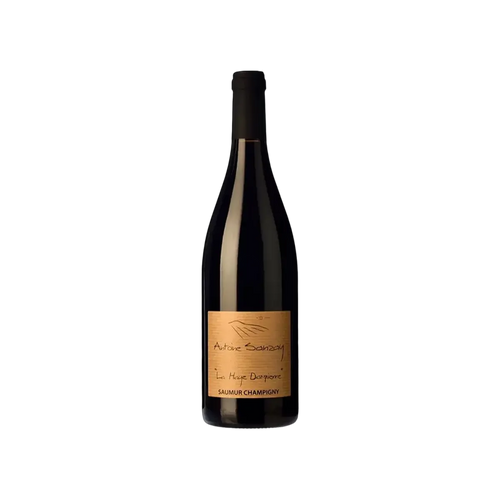 Botella de Antoine Sanzay La Haye Dampierre, vino tinto de Cabernet Franc de Francia