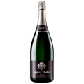 Botella de Segura Viudas Espumoso, vino espumoso de Cava de Cava, España