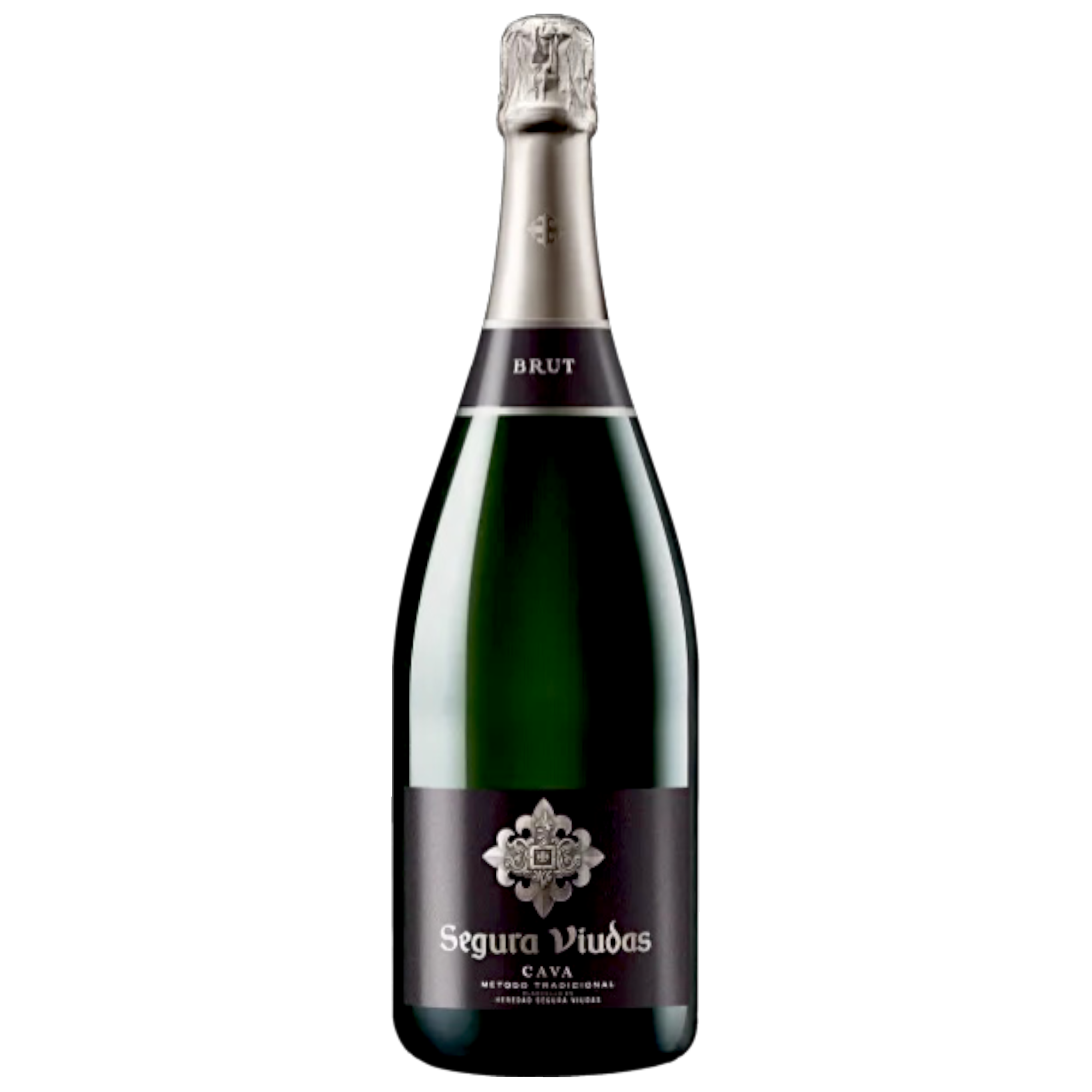 Botella de Segura Viudas Espumoso, vino espumoso de Cava de Cava, España