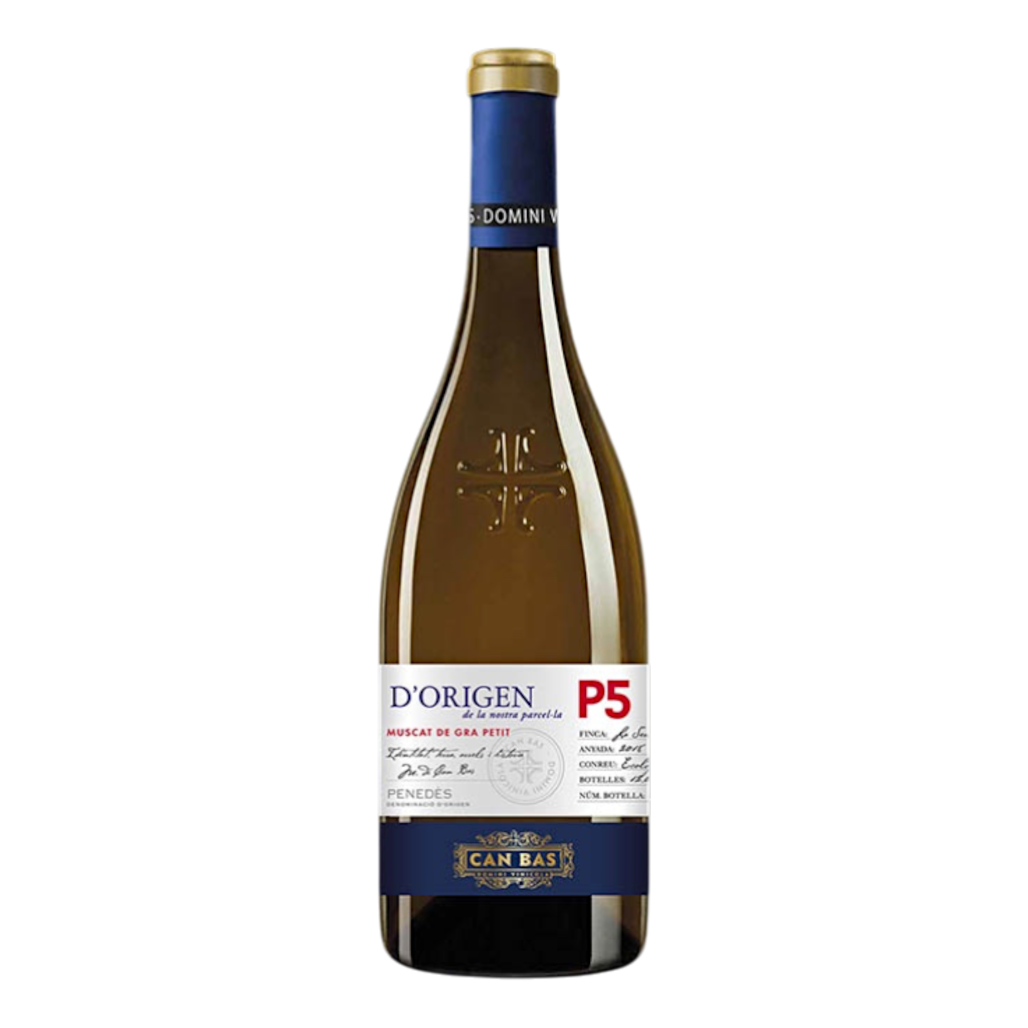 Botella de D Origen P5 Muscat, vino blanco de Muscat de Penedès, España